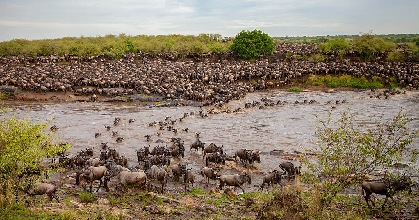 Serengeti National Park landscape