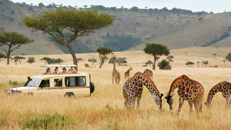 6-Day Mid-Range Complete Northern Circuit - Tanzania Safari