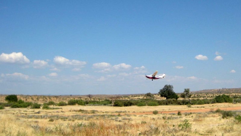 5-Day Luxury Serengeti Fly-In Safari - Tanzania Safari