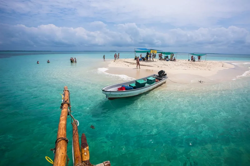 11-Day Kilimanjaro & Zanzibar Adventure - Tanzania Safari