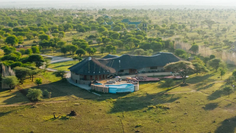10-Day Luxury Grand Tanzania Safari - Tanzania Safari