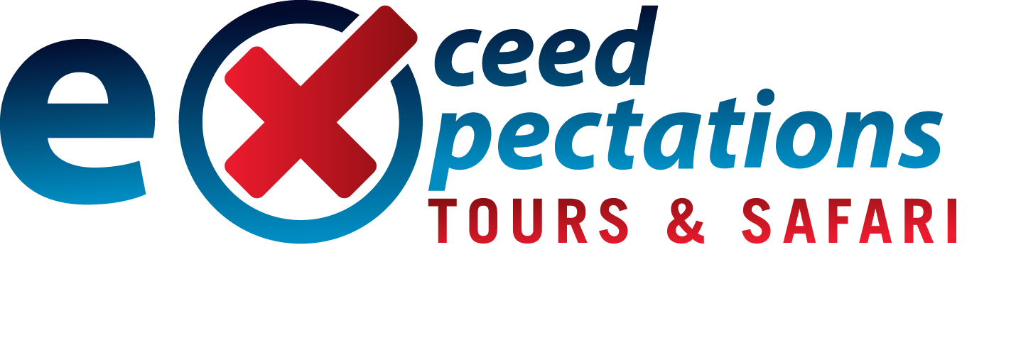 Logo exceed expectations tours
